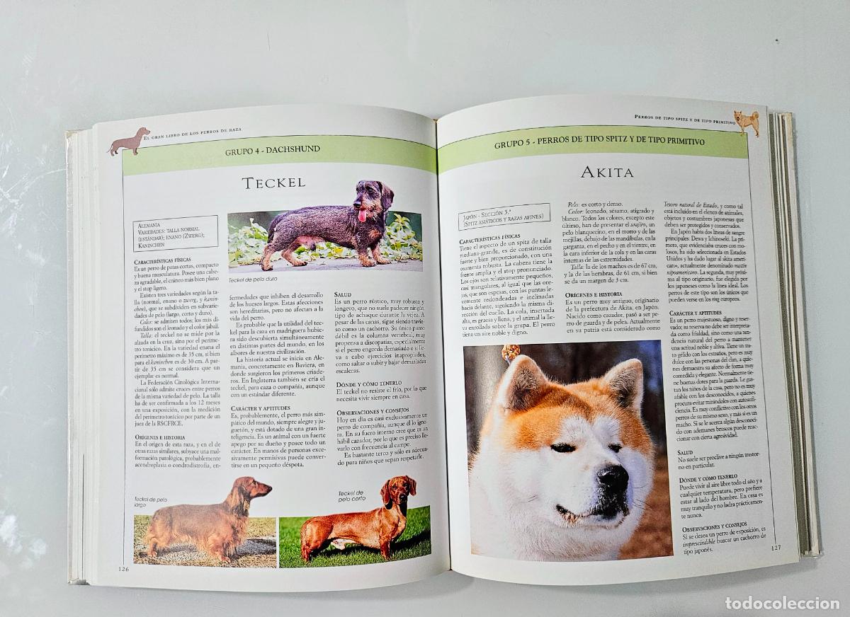 Libros de segunda mano: El gran libro de los perros de raza | Rossi, Valeria | De Vecchi Ediciones. 2001 - Foto 5