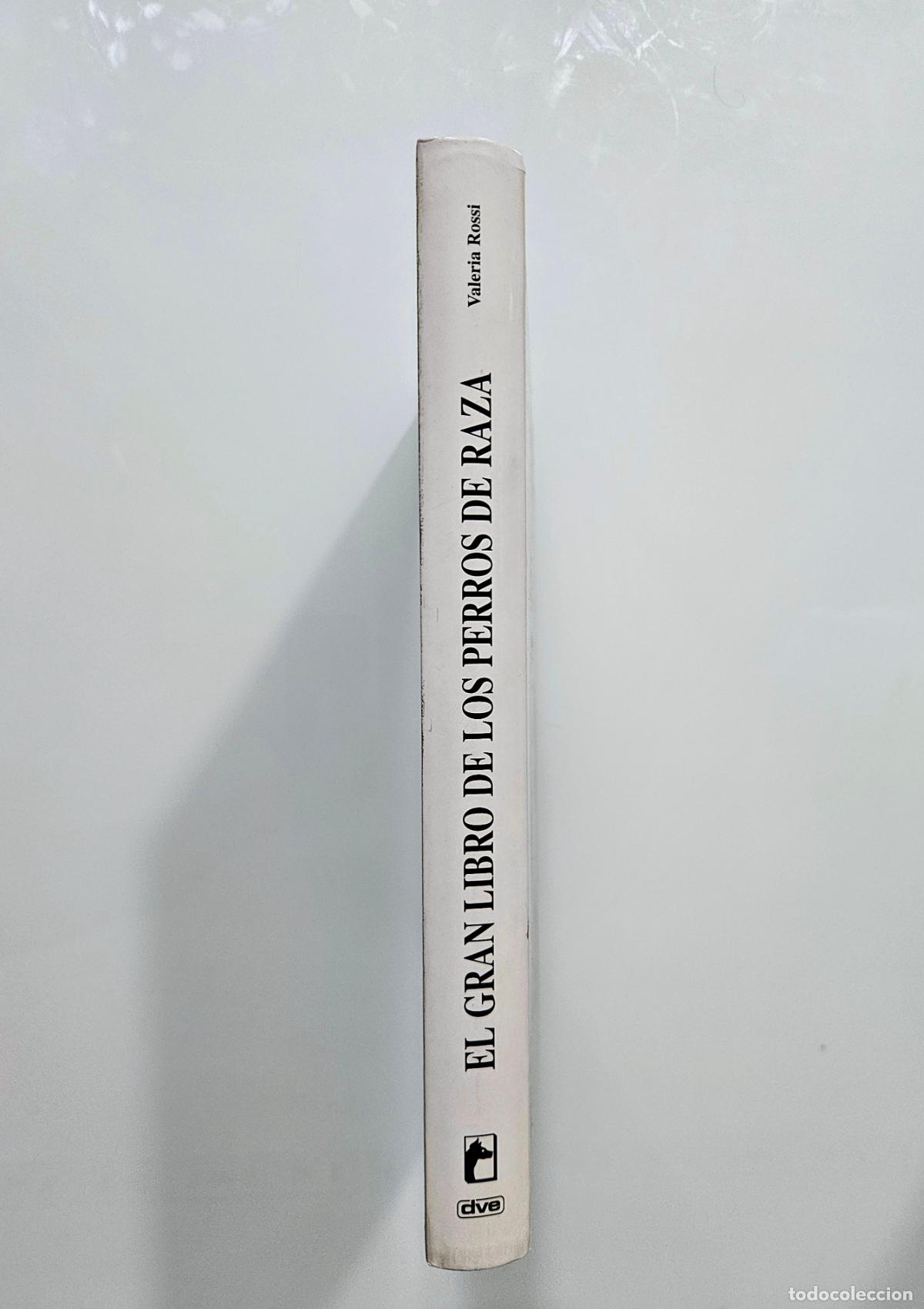 Libros de segunda mano: El gran libro de los perros de raza | Rossi, Valeria | De Vecchi Ediciones. 2001 - Foto 8