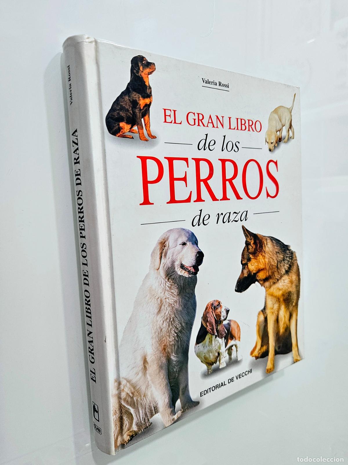 Libros de segunda mano: El gran libro de los perros de raza | Rossi, Valeria | De Vecchi Ediciones. 2001 - Foto 1
