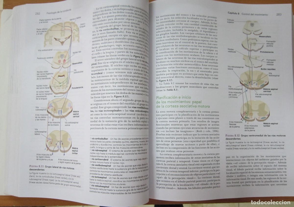 Libros de segunda mano: Fisiolog&iacute;a de la conducta, de Neil R. Carlson - Foto 3
