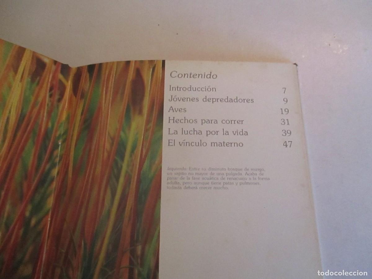 Libros de segunda mano: Las cr&iacute;as de los animales W32973 - Foto 2
