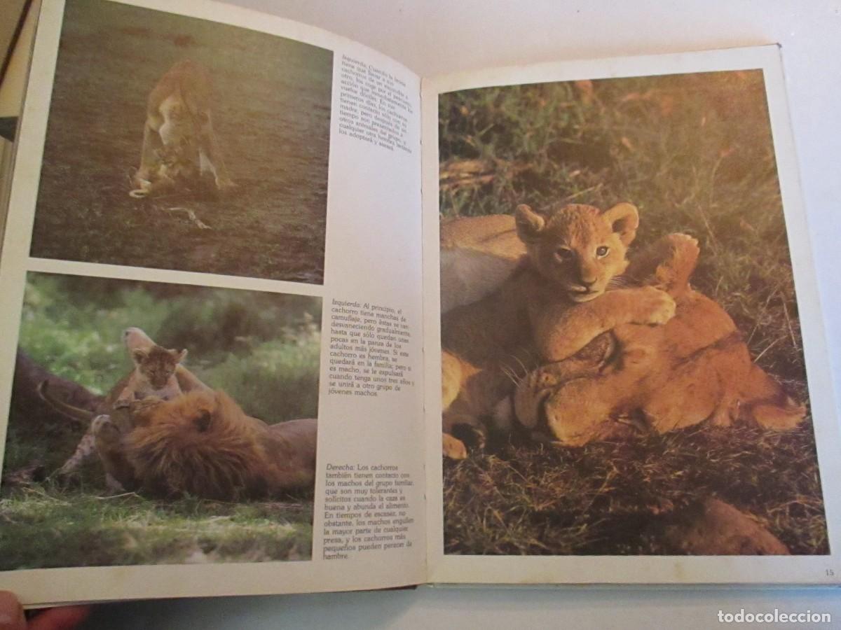 Libros de segunda mano: Las cr&iacute;as de los animales W32973 - Foto 3