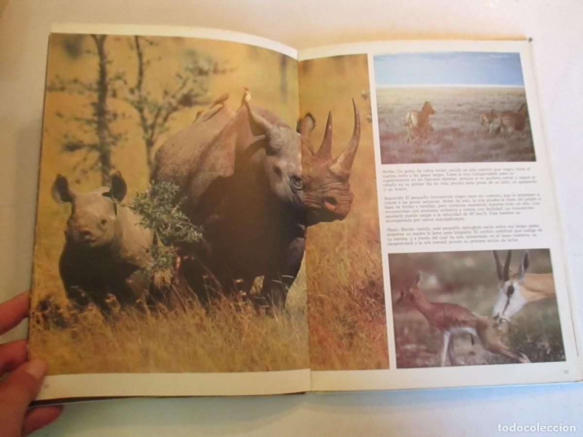 Libros de segunda mano: Las cr&iacute;as de los animales W32973 - Foto 4