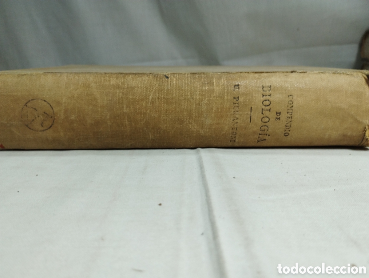 Libros de segunda mano: Compendio de biolog&iacute;a. U. Pierantoni, 1940 - Foto 3