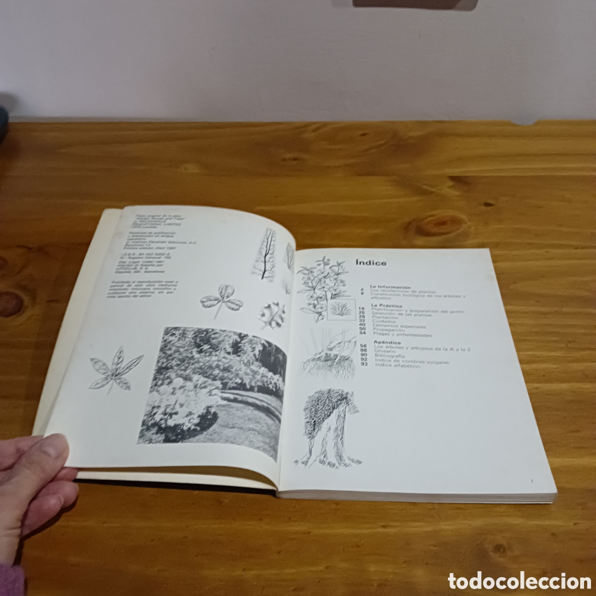 Libros de segunda mano: Arboles y arbustos. Janet Browne y Brian ward. - Foto 3