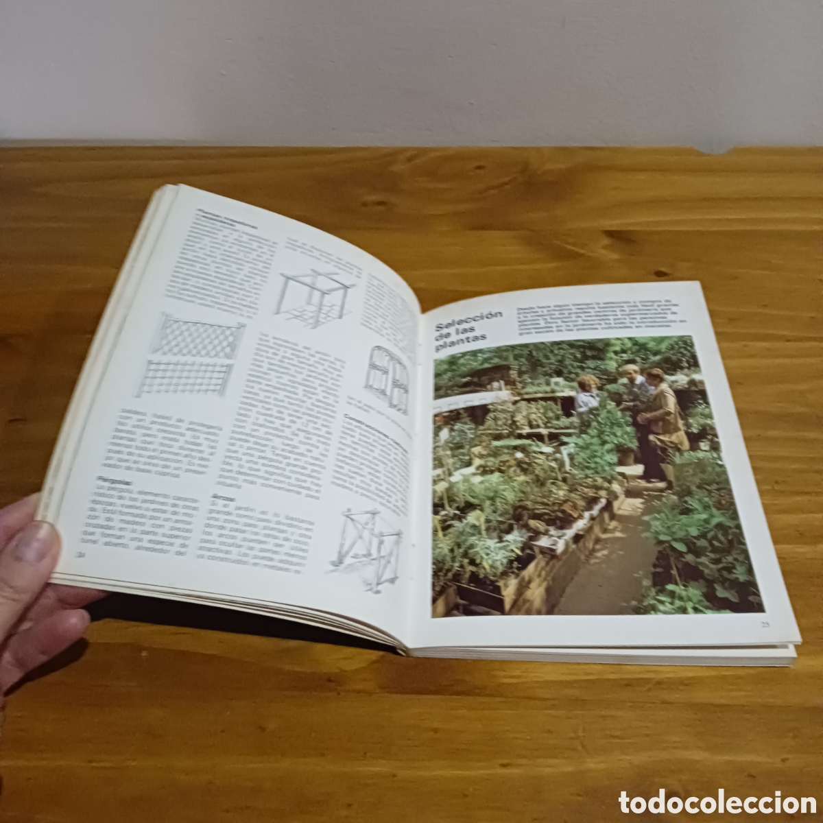 Libros de segunda mano: Arboles y arbustos. Janet Browne y Brian ward. - Foto 5