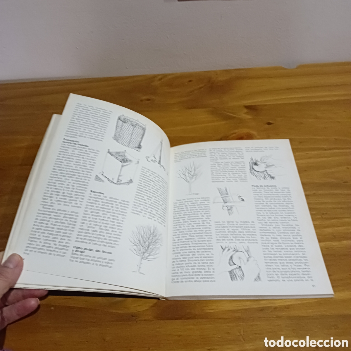 Libros de segunda mano: Arboles y arbustos. Janet Browne y Brian ward. - Foto 6