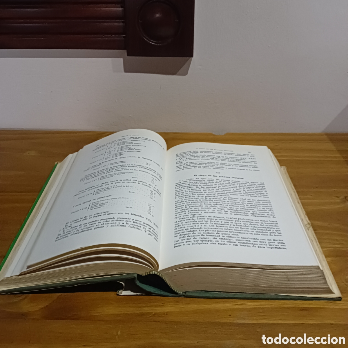 Libros de segunda mano: Tratado de fruticultura. - Foto 6