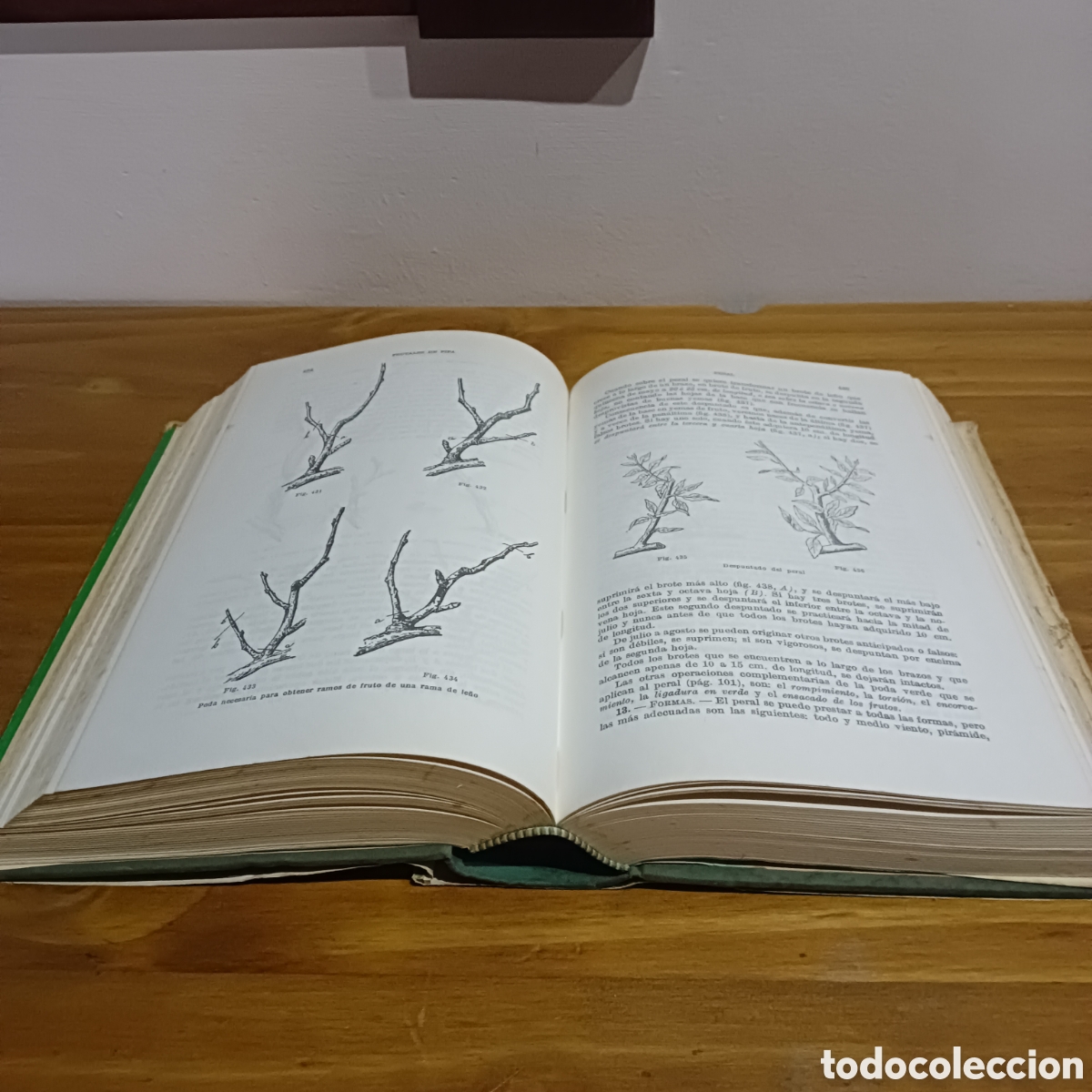Libros de segunda mano: Tratado de fruticultura. - Foto 7