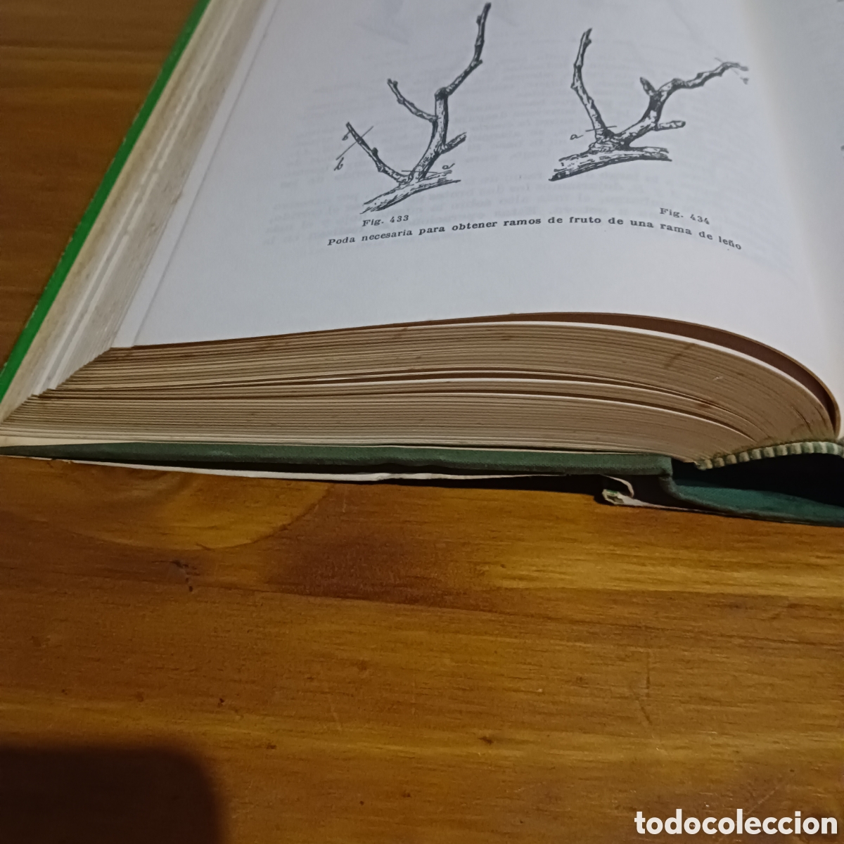 Libros de segunda mano: Tratado de fruticultura. - Foto 8