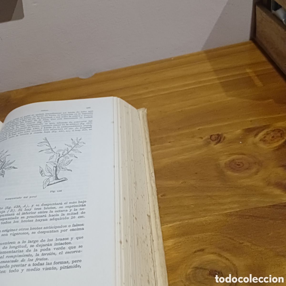 Libros de segunda mano: Tratado de fruticultura. - Foto 9