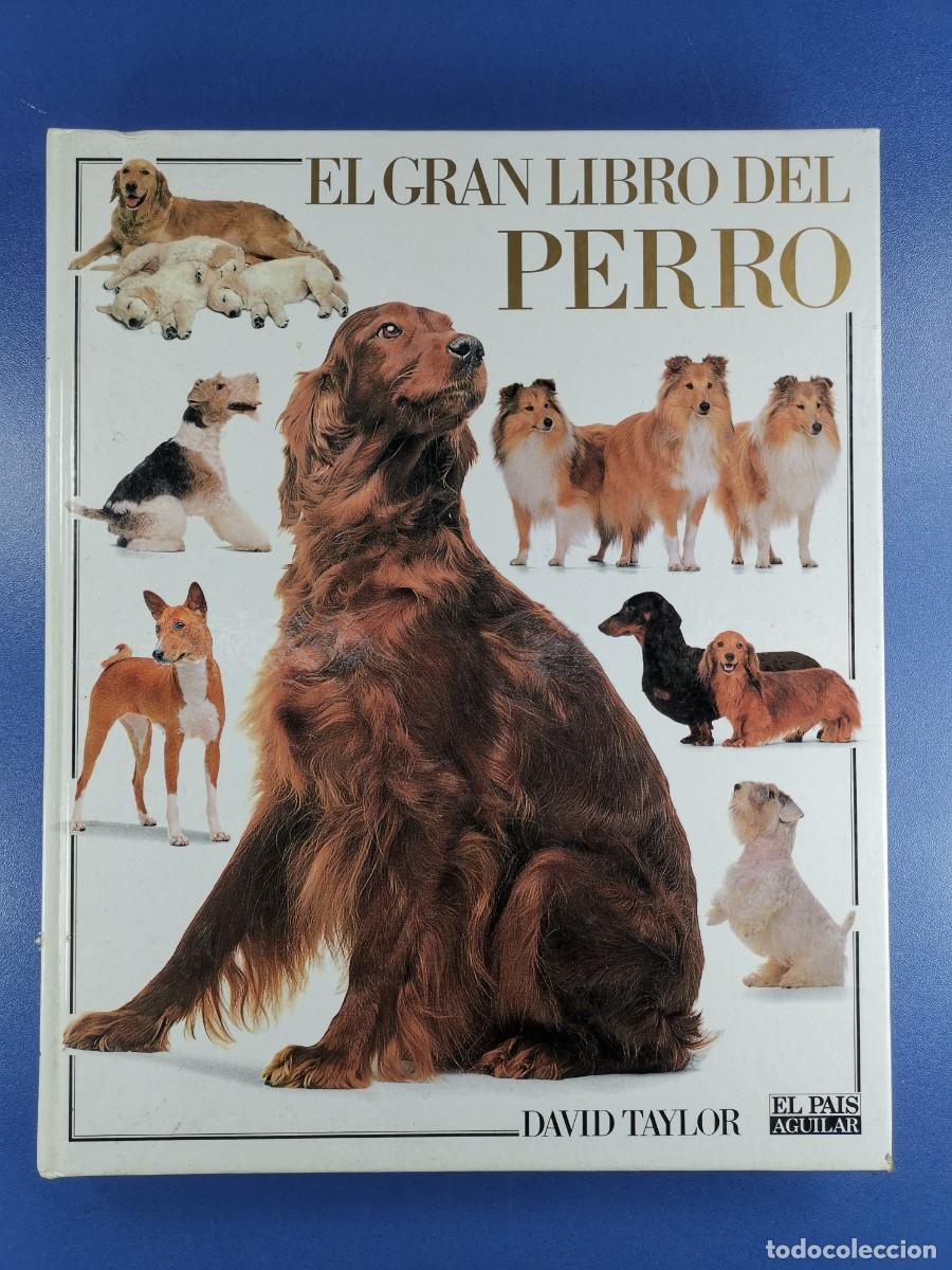 Libros de segunda mano: EL GRAN LIBRO DEL PERRO - DAVID TAYLOR - EL PAIS AGUILAR 1992. - Foto 2