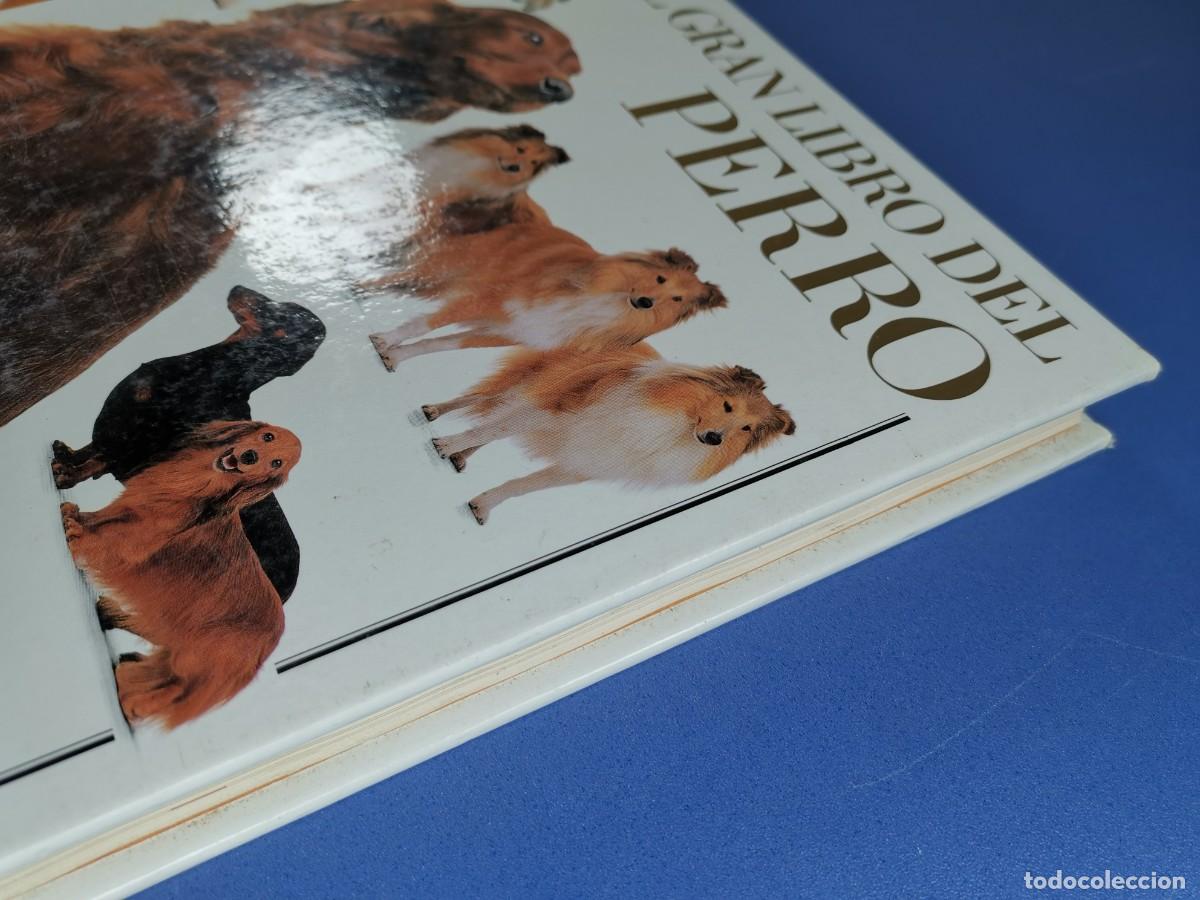 Libros de segunda mano: EL GRAN LIBRO DEL PERRO - DAVID TAYLOR - EL PAIS AGUILAR 1992. - Foto 4