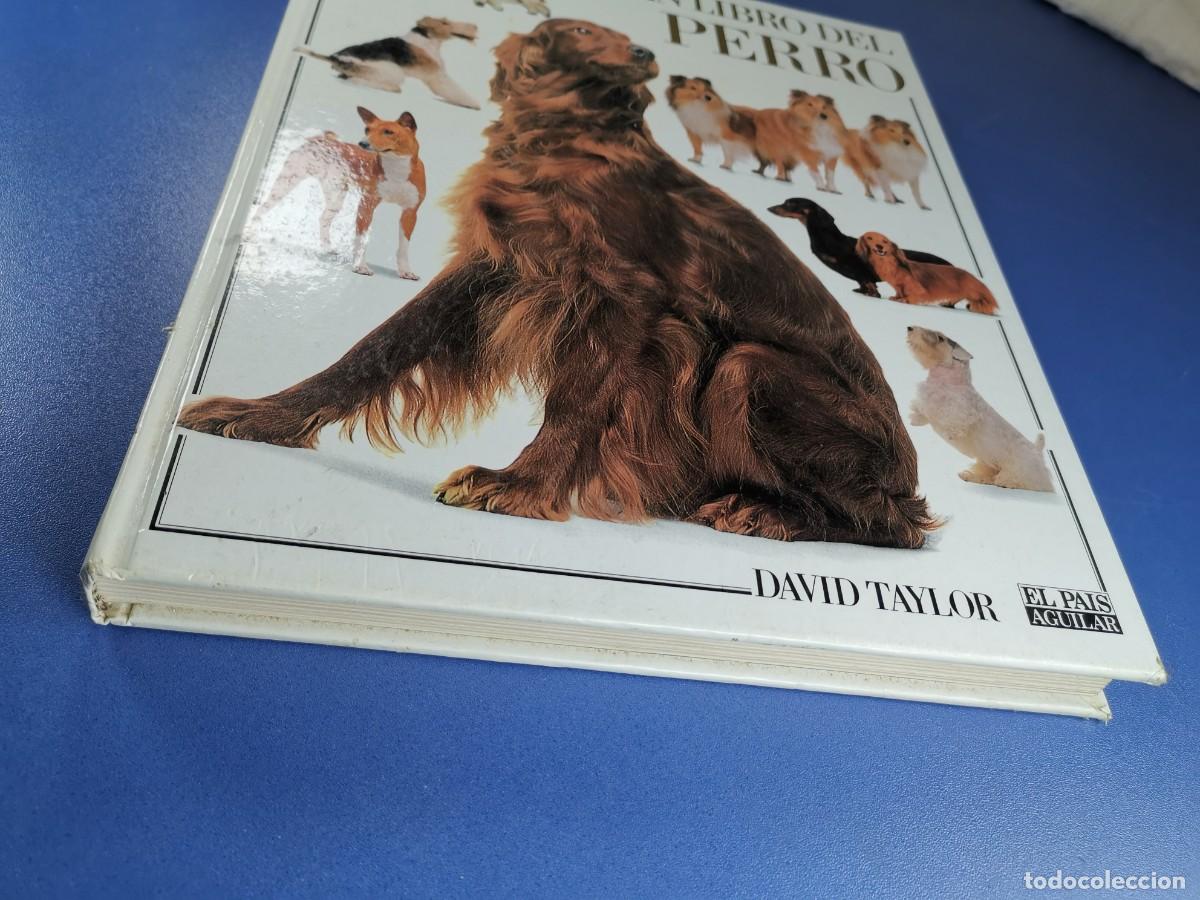 Libros de segunda mano: EL GRAN LIBRO DEL PERRO - DAVID TAYLOR - EL PAIS AGUILAR 1992. - Foto 5