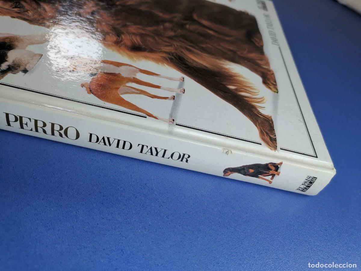 Libros de segunda mano: EL GRAN LIBRO DEL PERRO - DAVID TAYLOR - EL PAIS AGUILAR 1992. - Foto 6