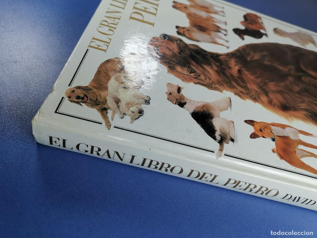 Libros de segunda mano: EL GRAN LIBRO DEL PERRO - DAVID TAYLOR - EL PAIS AGUILAR 1992. - Foto 7