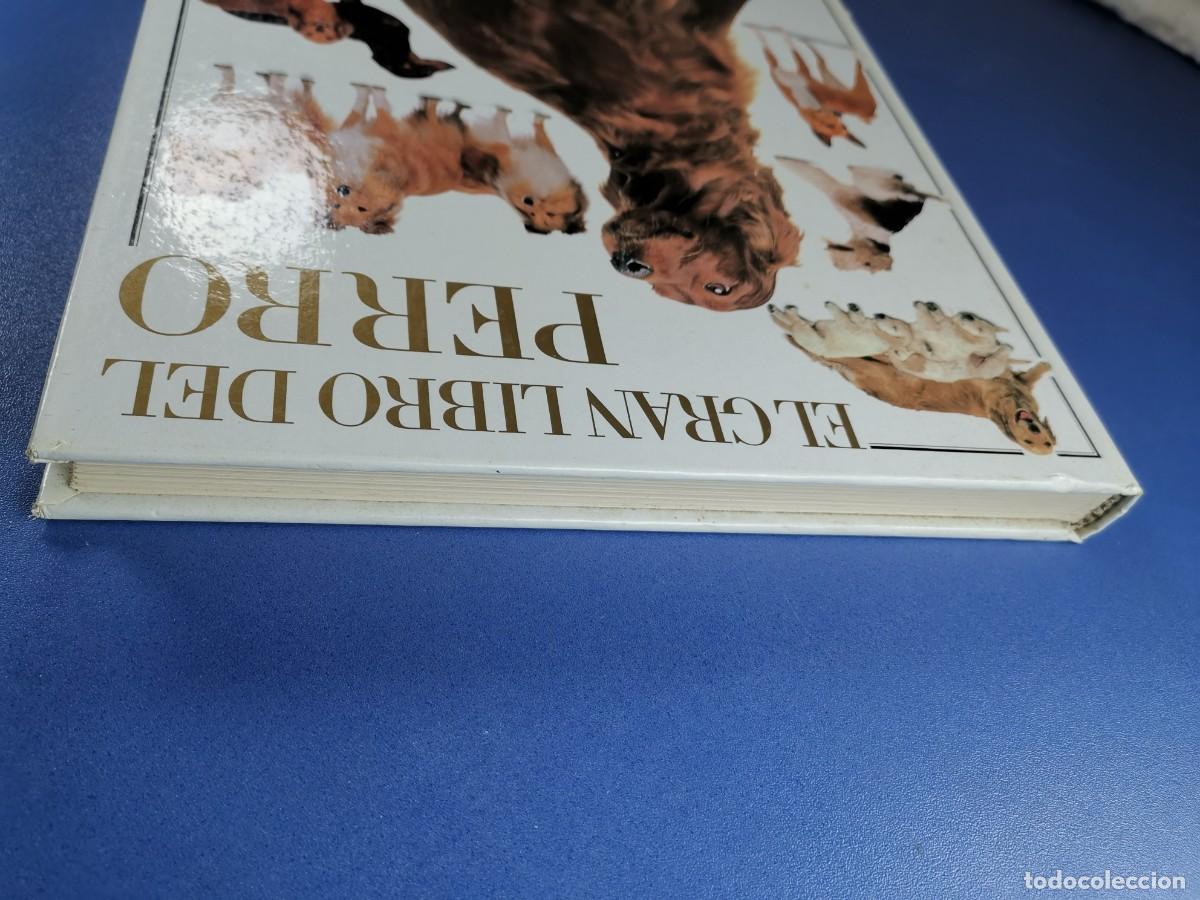 Libros de segunda mano: EL GRAN LIBRO DEL PERRO - DAVID TAYLOR - EL PAIS AGUILAR 1992. - Foto 8