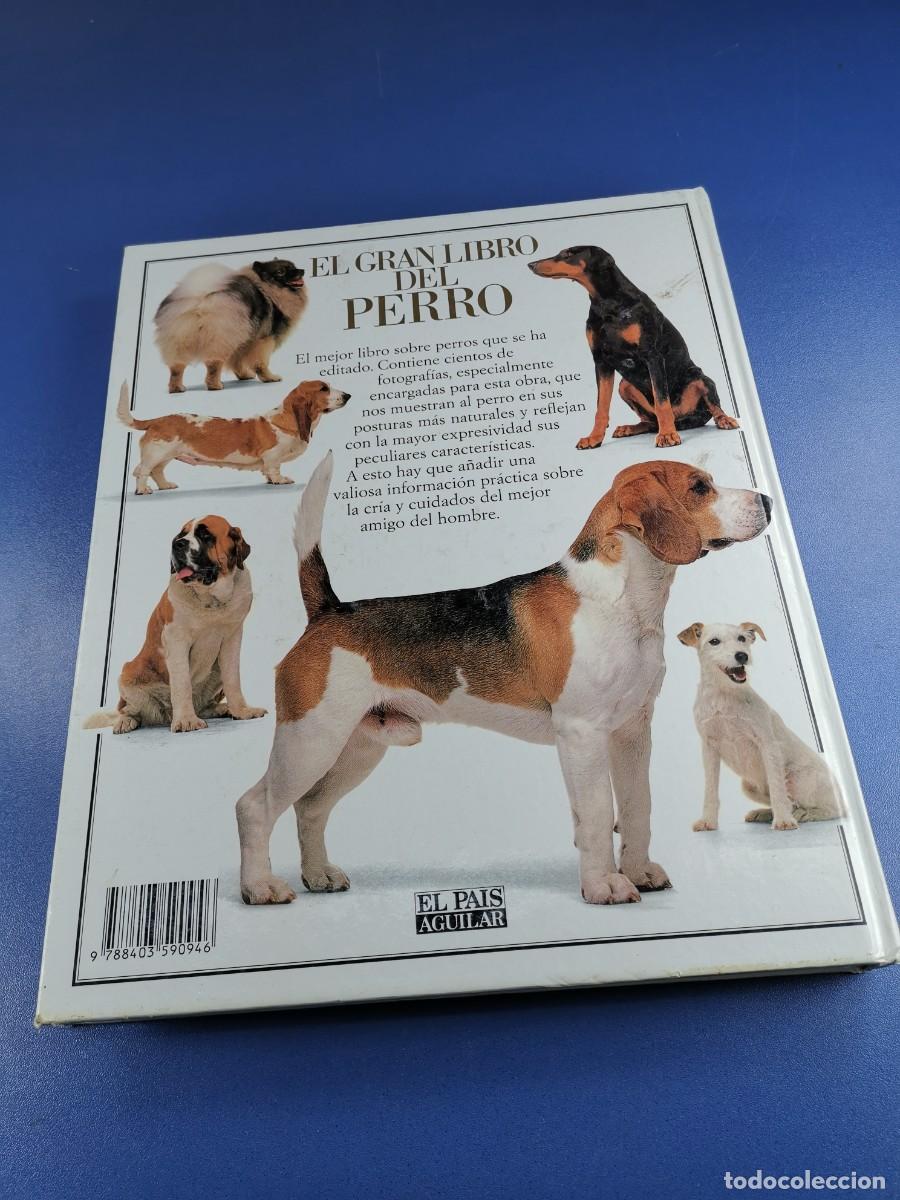 Libros de segunda mano: EL GRAN LIBRO DEL PERRO - DAVID TAYLOR - EL PAIS AGUILAR 1992. - Foto 9