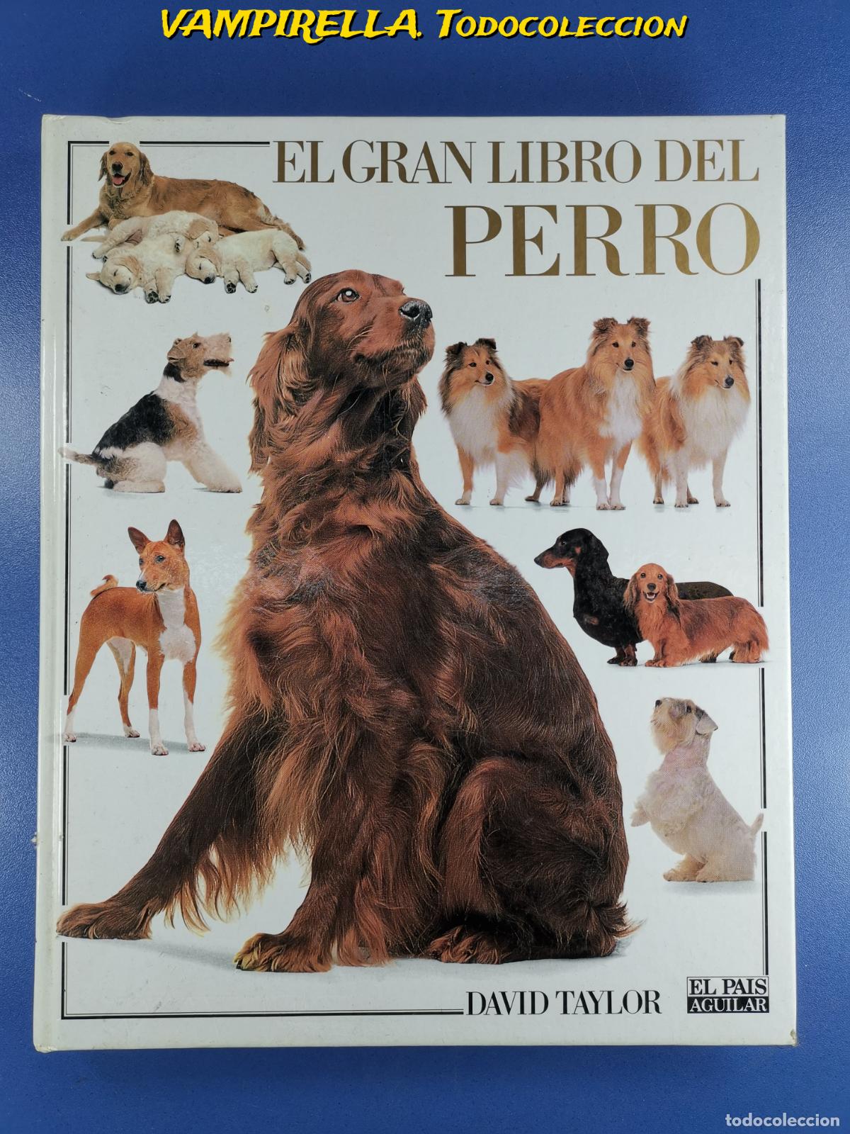 Libros de segunda mano: EL GRAN LIBRO DEL PERRO - DAVID TAYLOR - EL PAIS AGUILAR 1992. - Foto 1