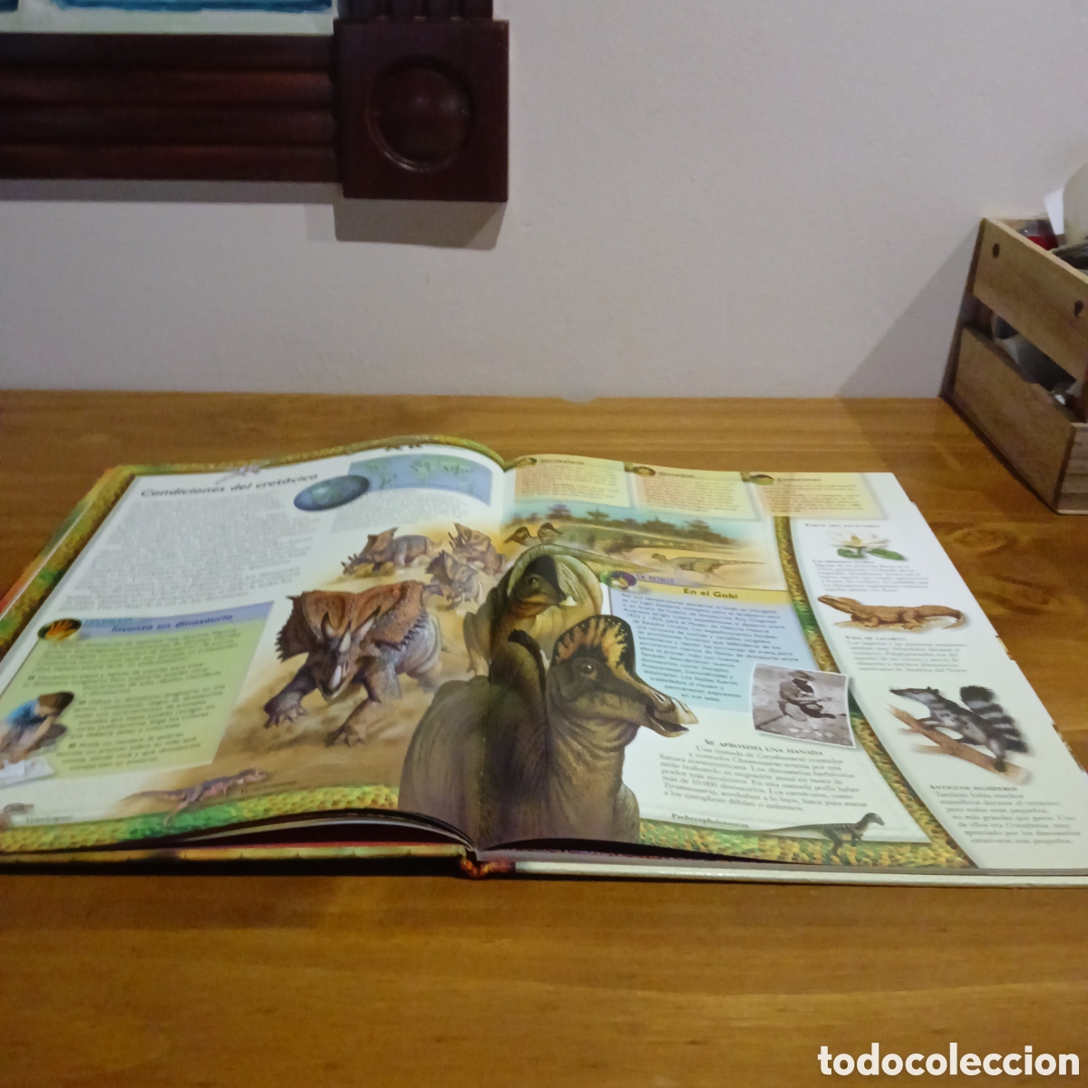 Libros de segunda mano: Dinosaurios. National Geographic. - Foto 3