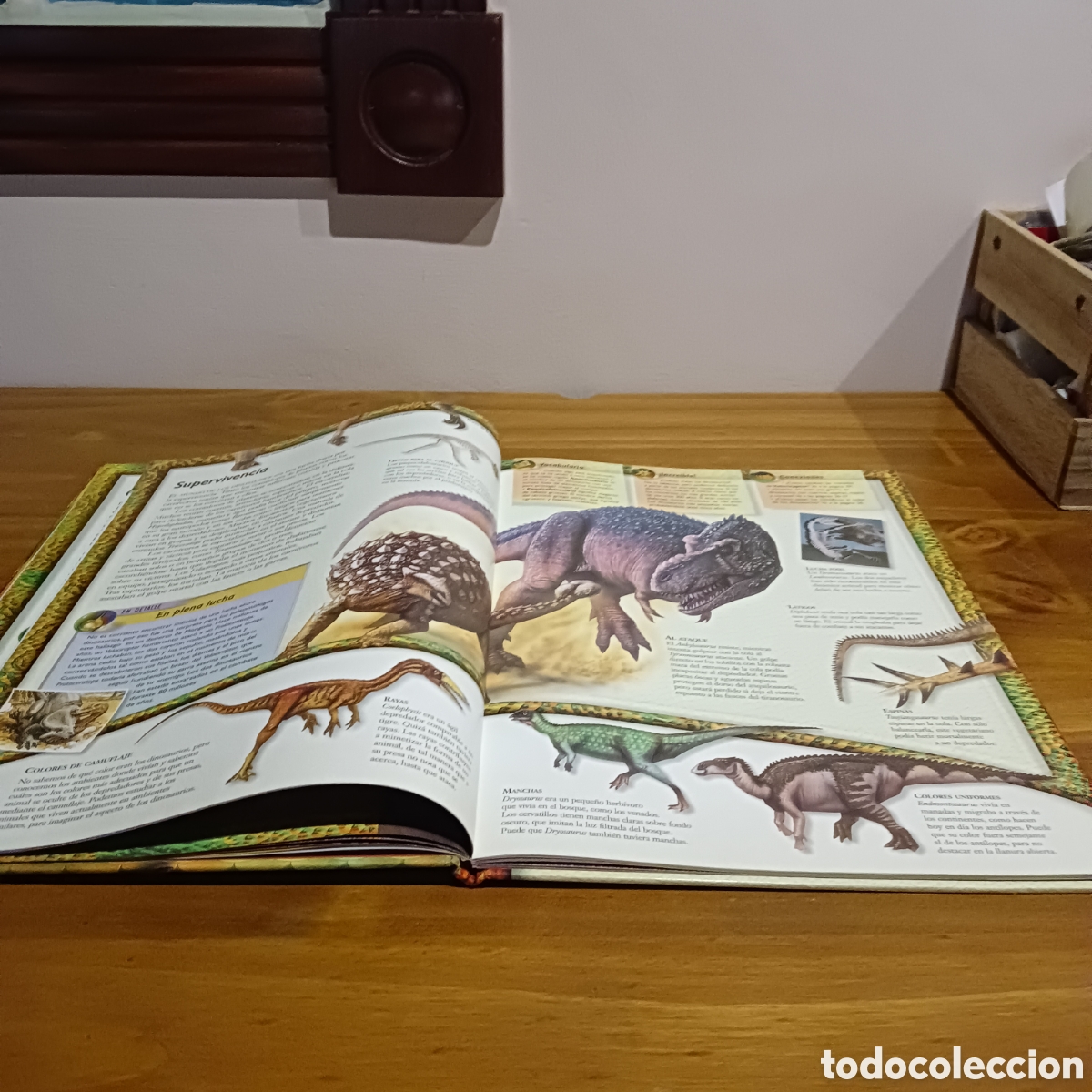 Libros de segunda mano: Dinosaurios. National Geographic. - Foto 4