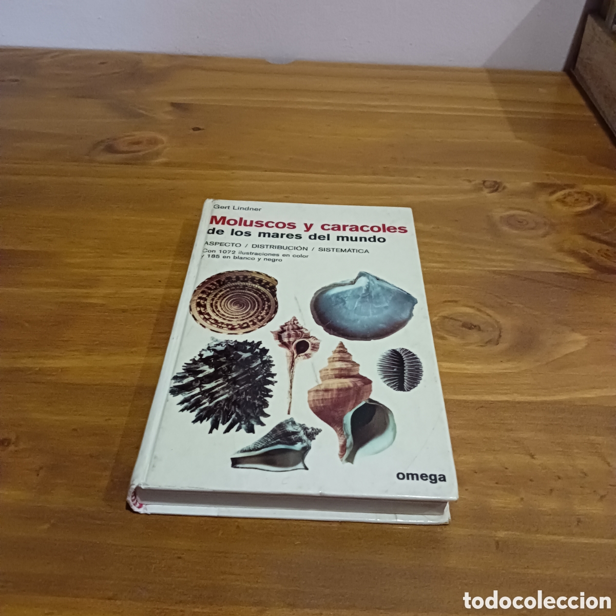 Libros de segunda mano: Moluscos y caracoles de los mares del mundo - Foto 1