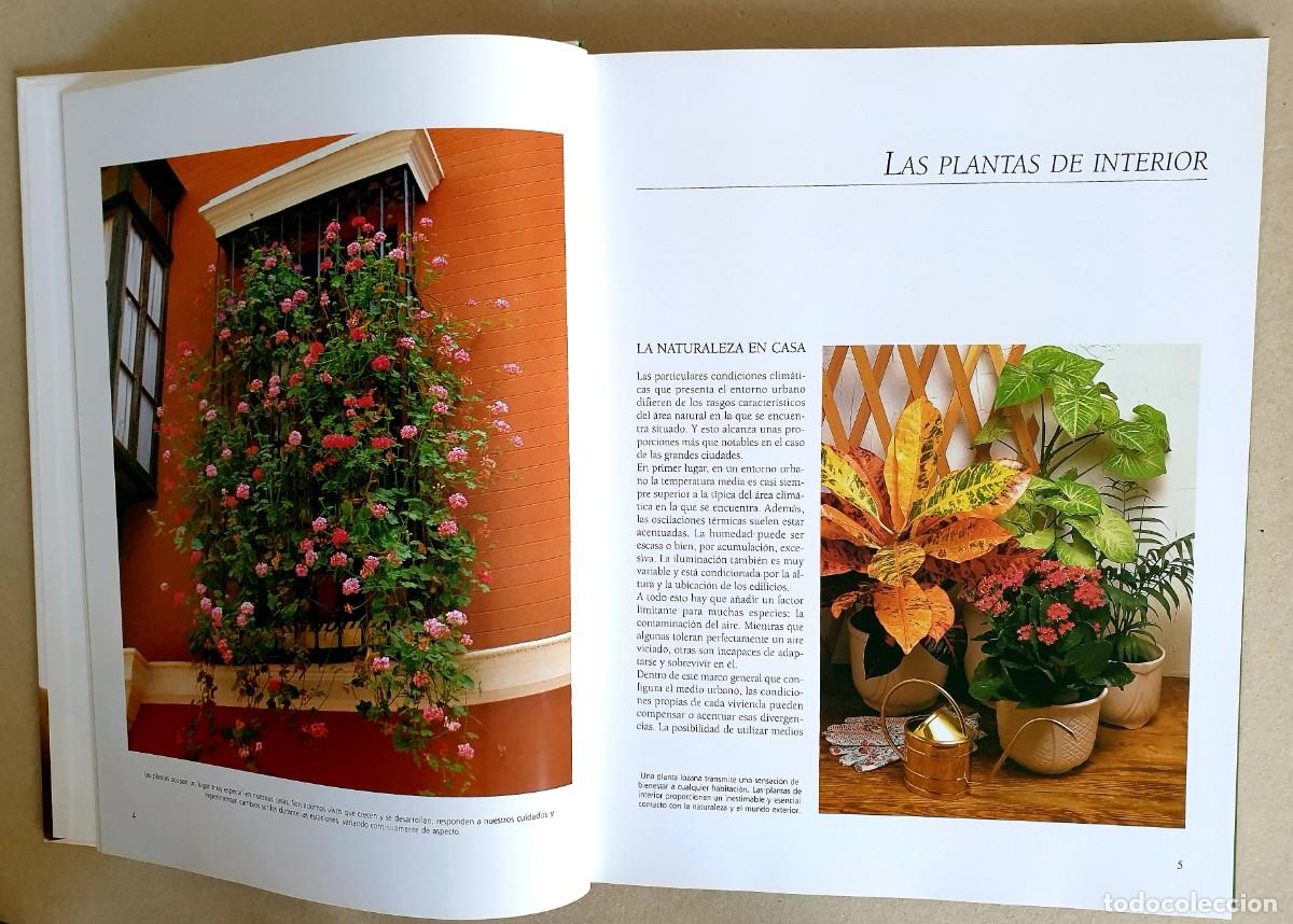Libros de segunda mano: El gran libro de la Jardiner&iacute;a. Ediciones Rueda. 2009 - Foto 4