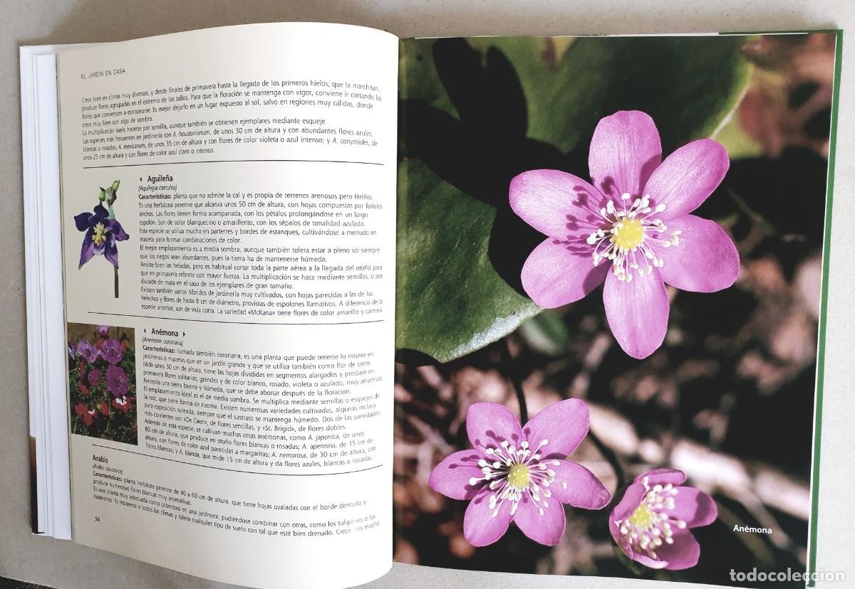 Libros de segunda mano: El gran libro de la Jardiner&iacute;a. Ediciones Rueda. 2009 - Foto 6