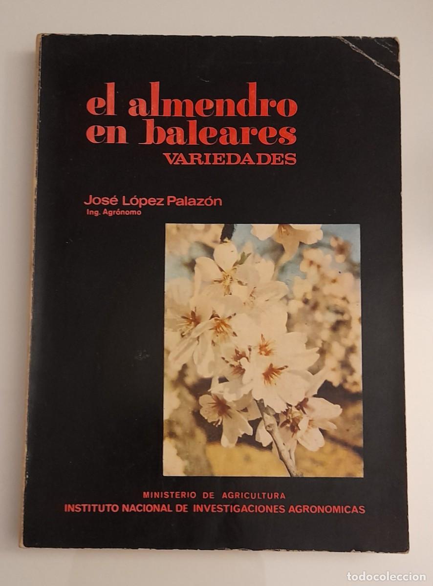 Libros de segunda mano: El almendro en Baleares Jos&eacute; L&oacute;pez - Foto 1