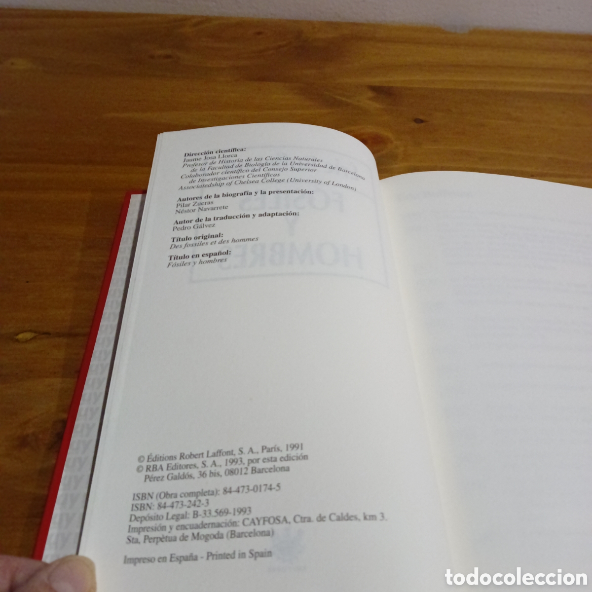 Libros de segunda mano: F&oacute;siles y Hombres. Eric Buffetaut - Foto 3