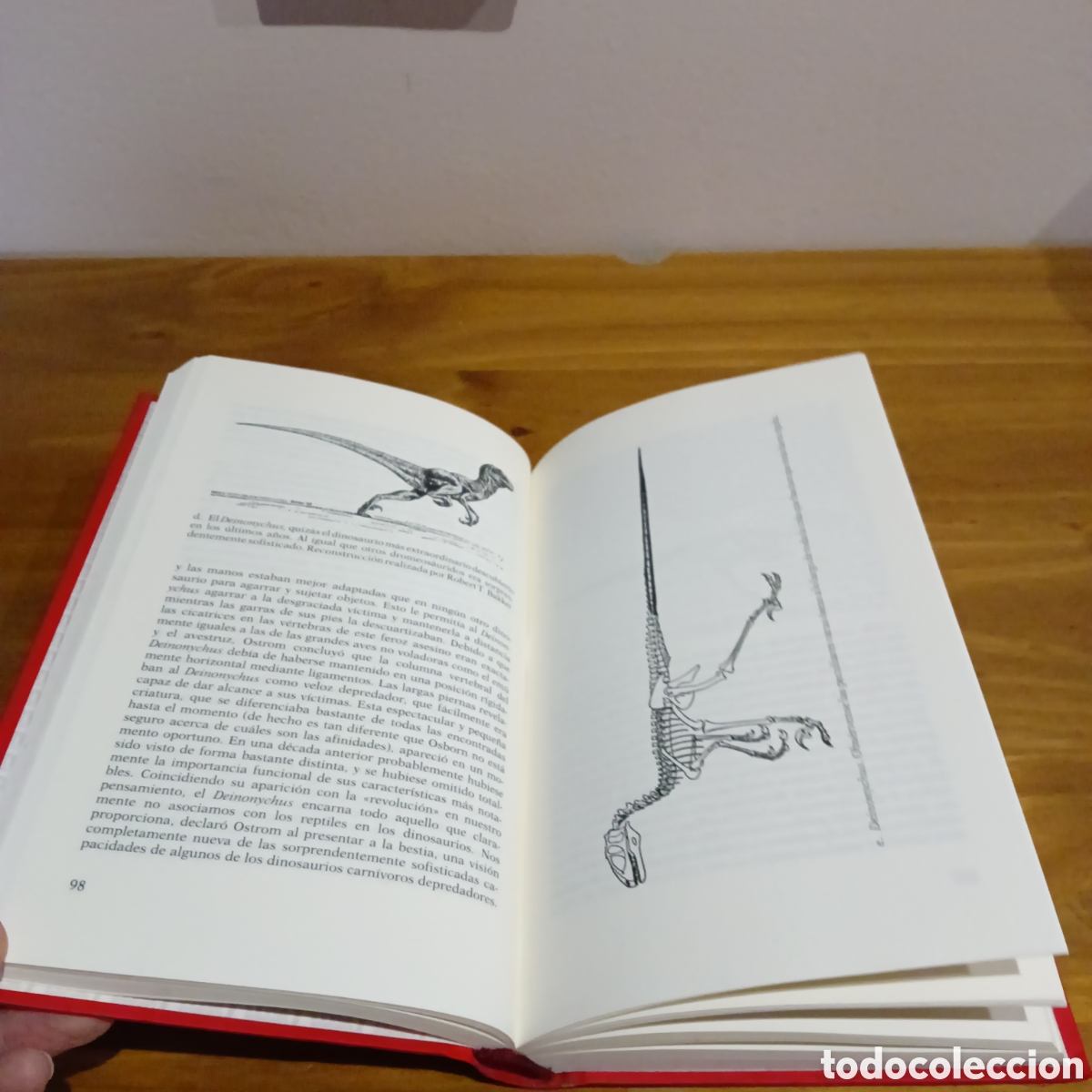 Libros de segunda mano: Los dinosaurios de sangre caliente. - Foto 4