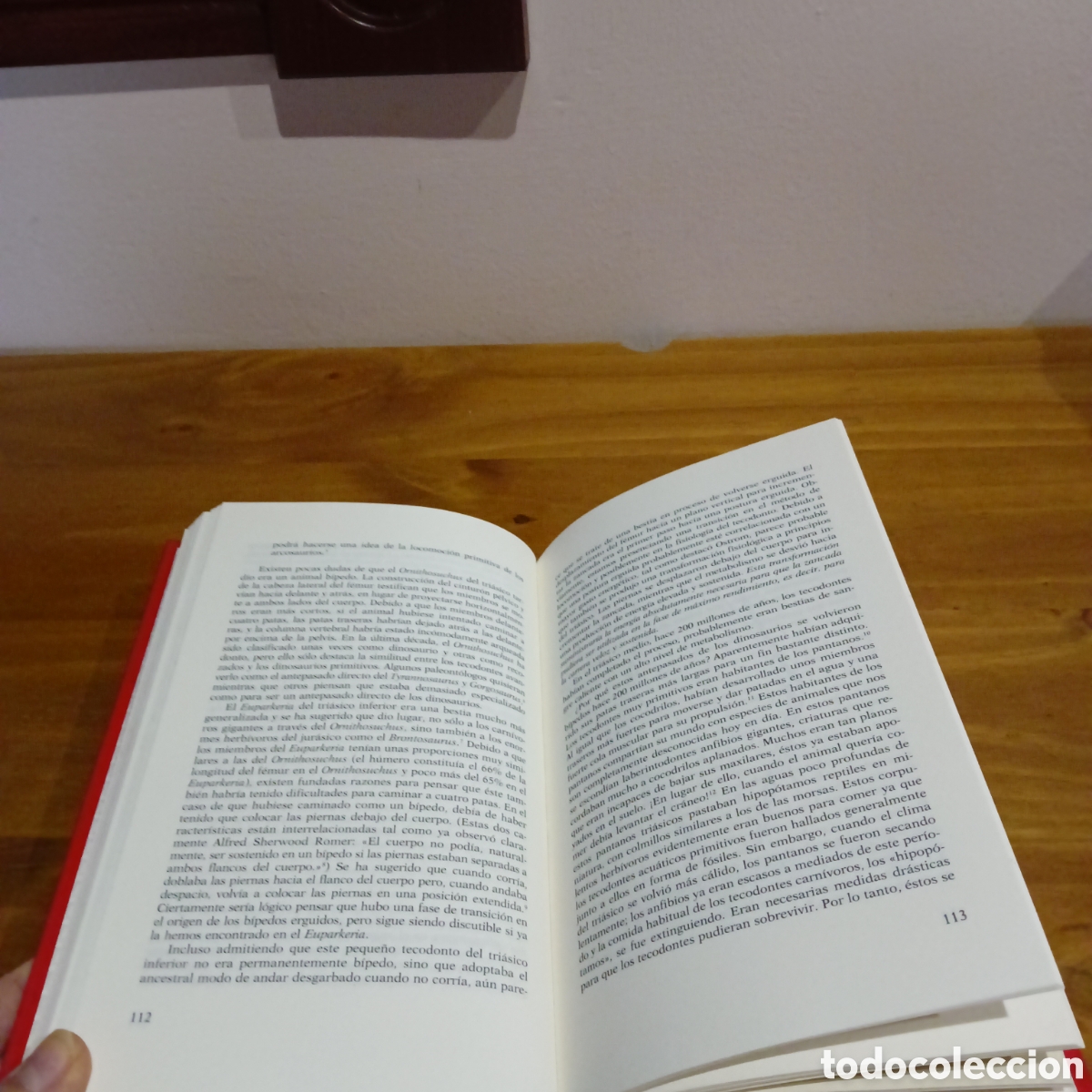 Libros de segunda mano: Los dinosaurios de sangre caliente. - Foto 5