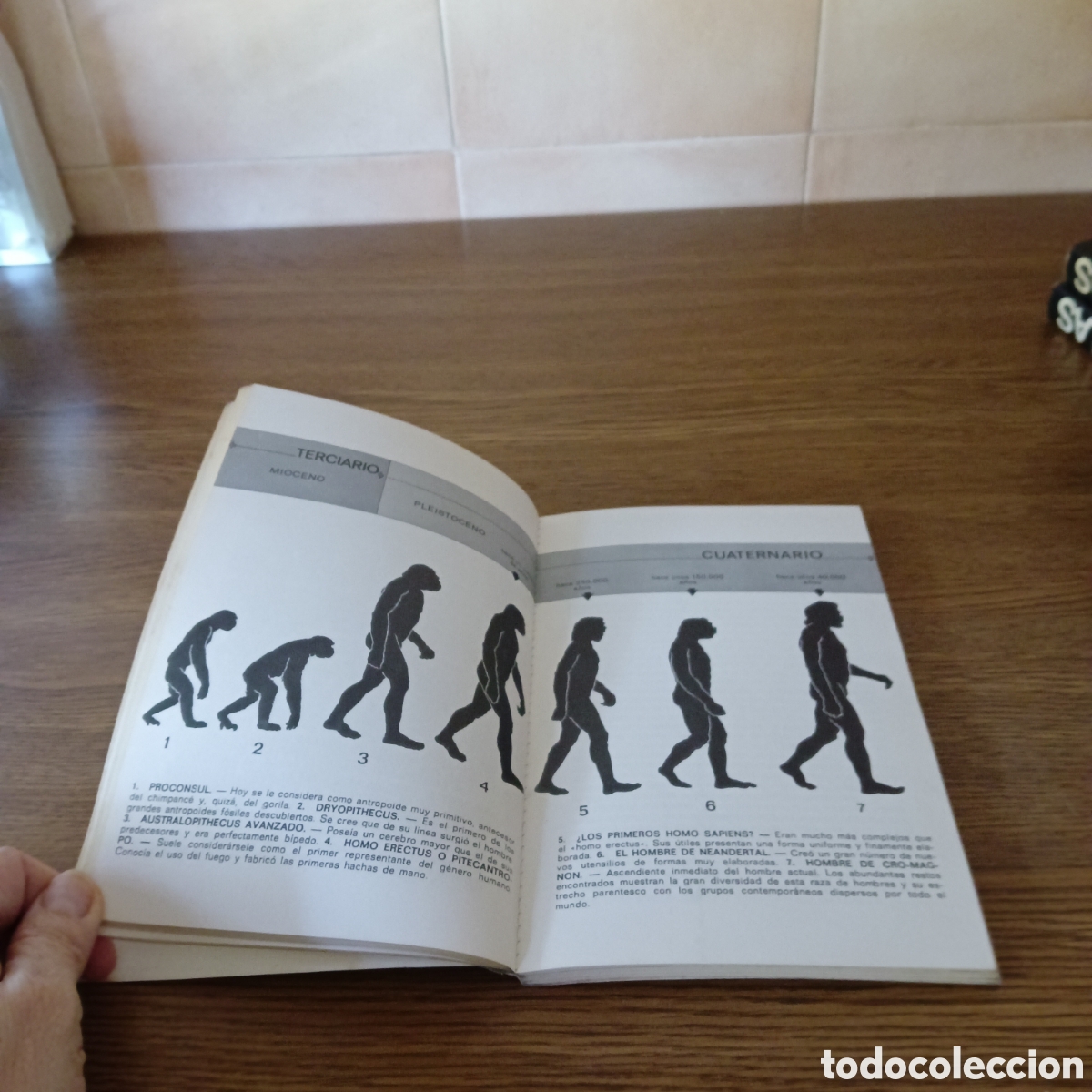 Libros de segunda mano: El origen del hombre. - Foto 6