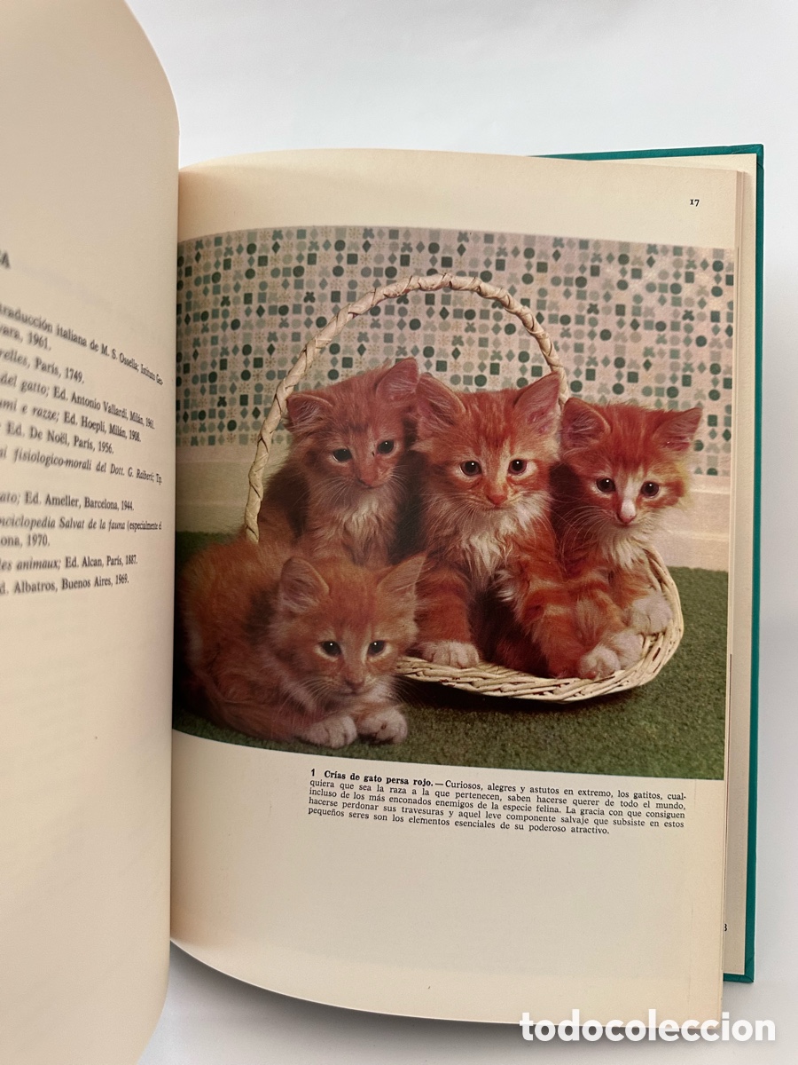 Libros de segunda mano: Los Gatos Documental en color - Foto 4