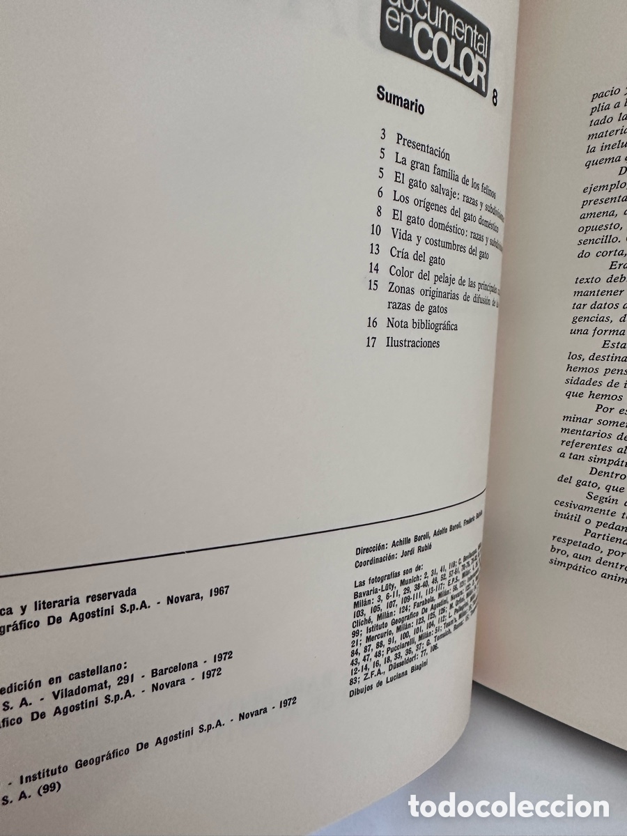 Libros de segunda mano: Los Gatos Documental en color - Foto 5