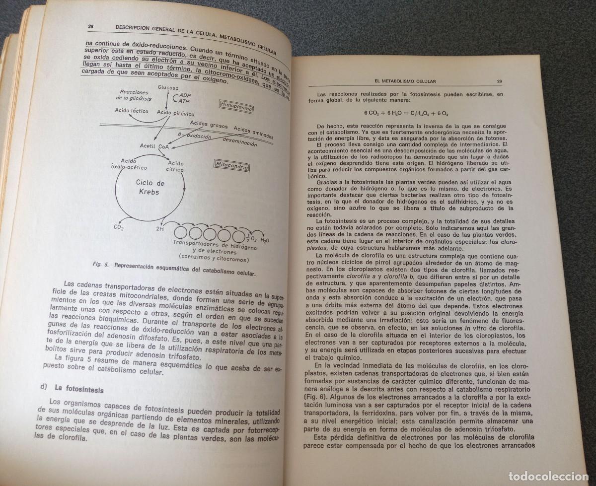 Libros de segunda mano: Lote libros Biolog&iacute;a General Maxime Lamotte Philippe L`Heritier - Foto 8