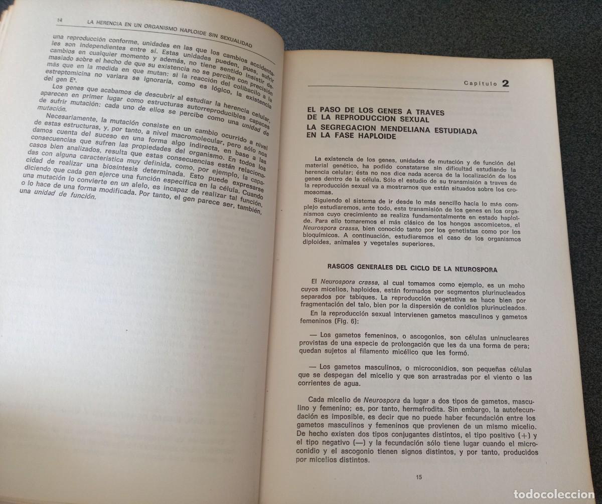 Libros de segunda mano: Lote libros Biolog&iacute;a General Maxime Lamotte Philippe L`Heritier - Foto 15