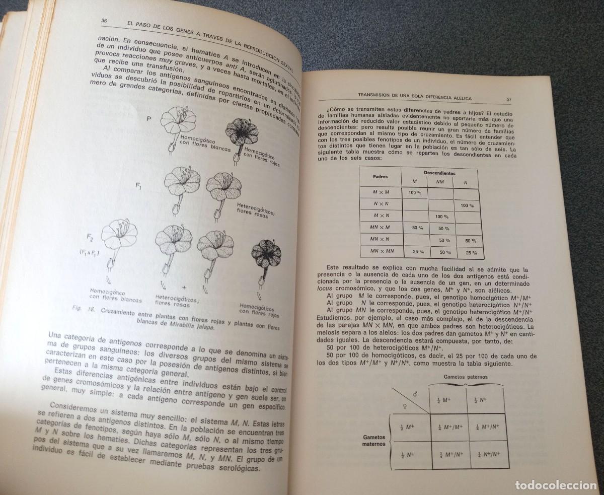 Libros de segunda mano: Lote libros Biolog&iacute;a General Maxime Lamotte Philippe L`Heritier - Foto 16