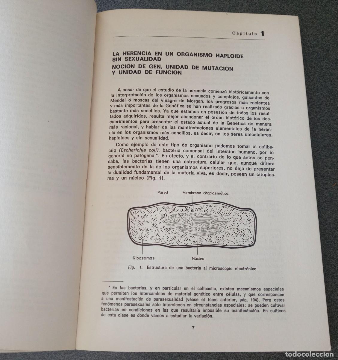 Libros de segunda mano: Biolog&iacute;a General Maxime Lamotte Philippe L`Heritier - Foto 7