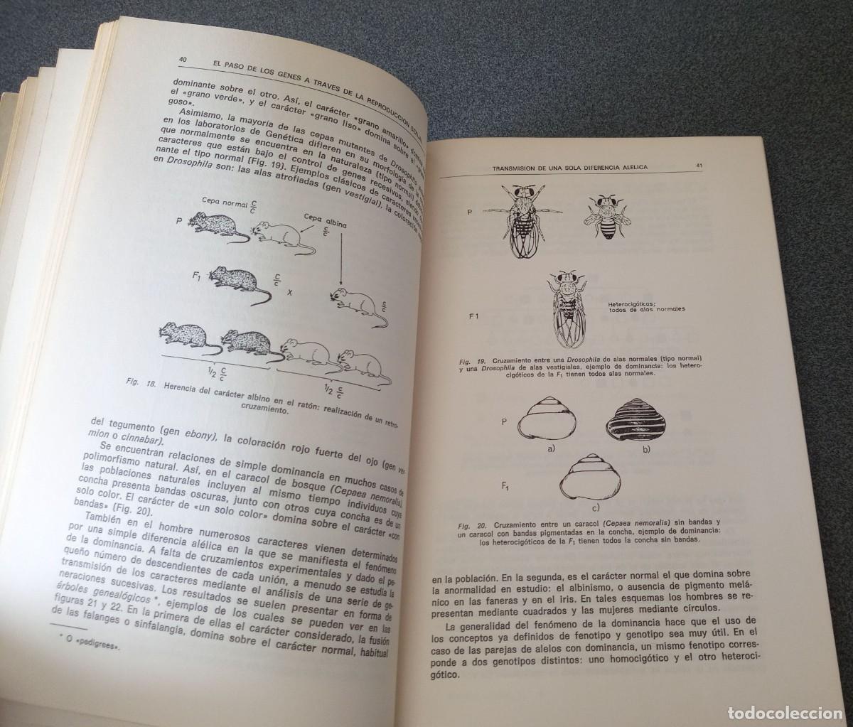 Libros de segunda mano: Biolog&iacute;a General Maxime Lamotte Philippe L`Heritier - Foto 8