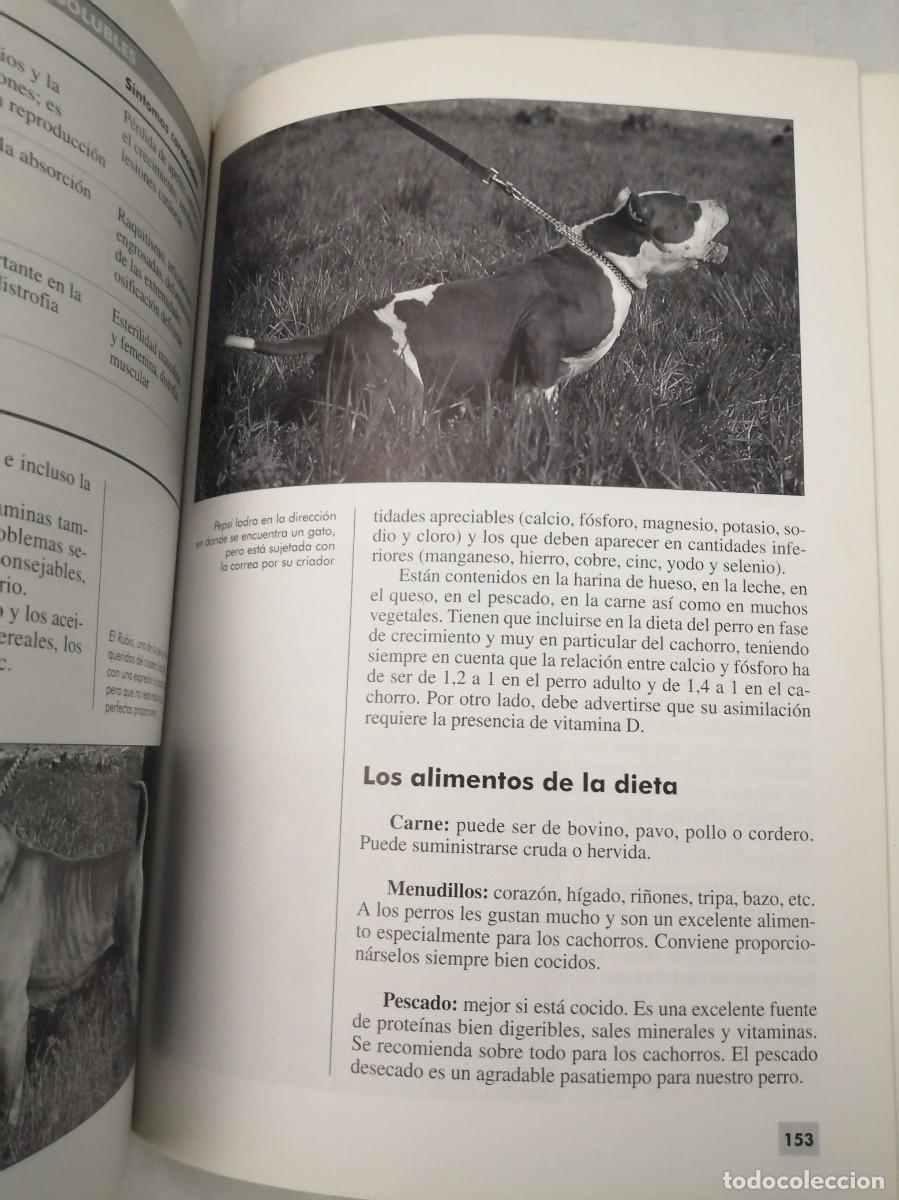 Libros de segunda mano: El Pit Bull (Texto en espa&ntilde;ol) - Foto 3