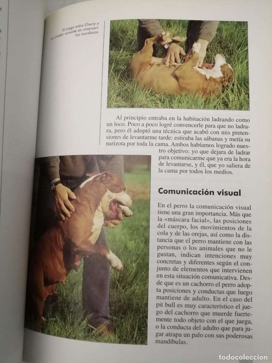 Libros de segunda mano: El Pit Bull (Texto en espa&ntilde;ol) - Foto 4