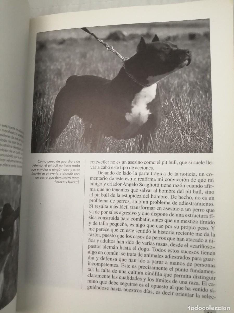 Libros de segunda mano: El Pit Bull (Texto en espa&ntilde;ol) - Foto 7