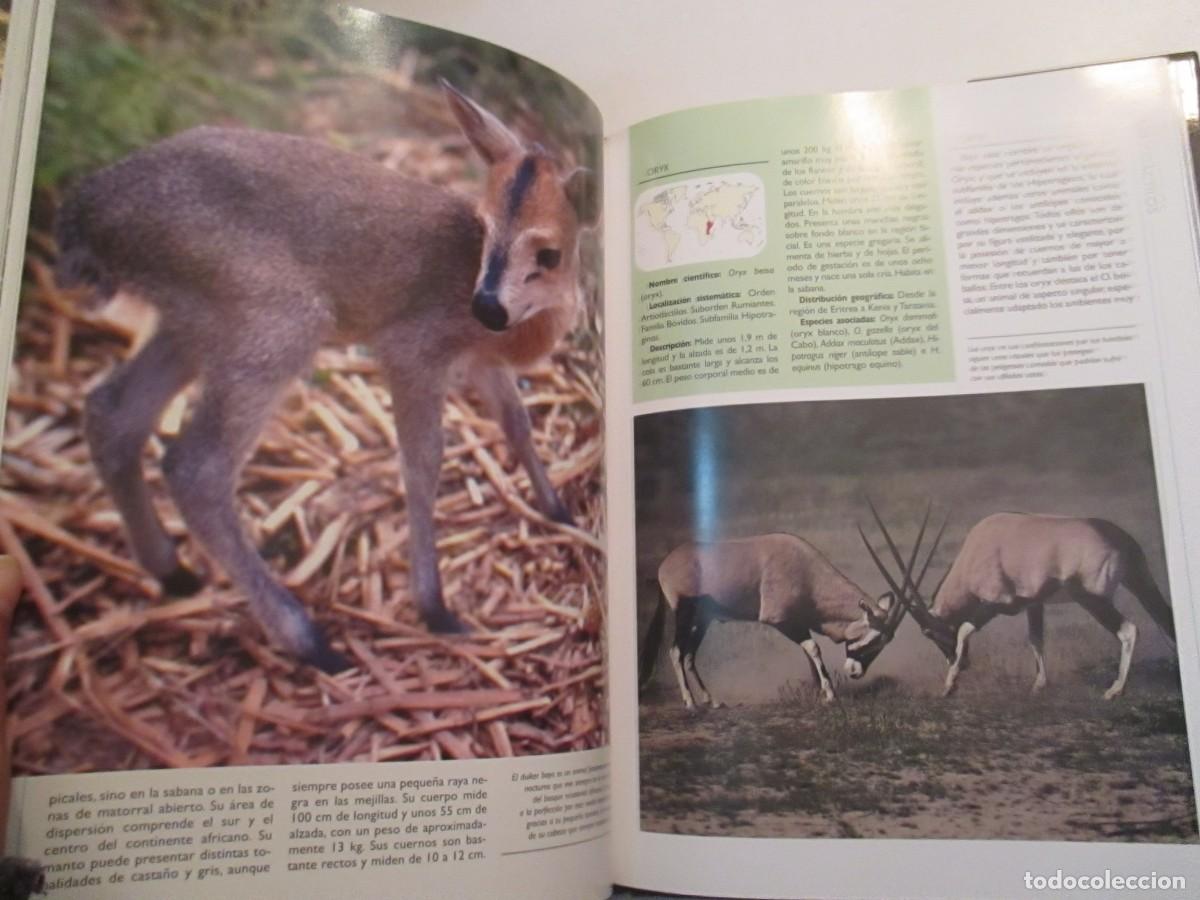 Libros de segunda mano: TIERRA VIVA Mam&iacute;feros 3 tomos W33098 - Foto 5