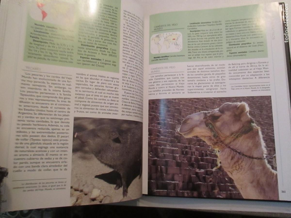 Libros de segunda mano: TIERRA VIVA Mam&iacute;feros 3 tomos W33098 - Foto 6