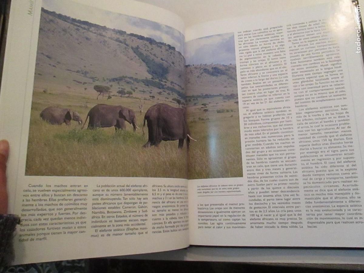Libros de segunda mano: TIERRA VIVA Mam&iacute;feros 3 tomos W33098 - Foto 7