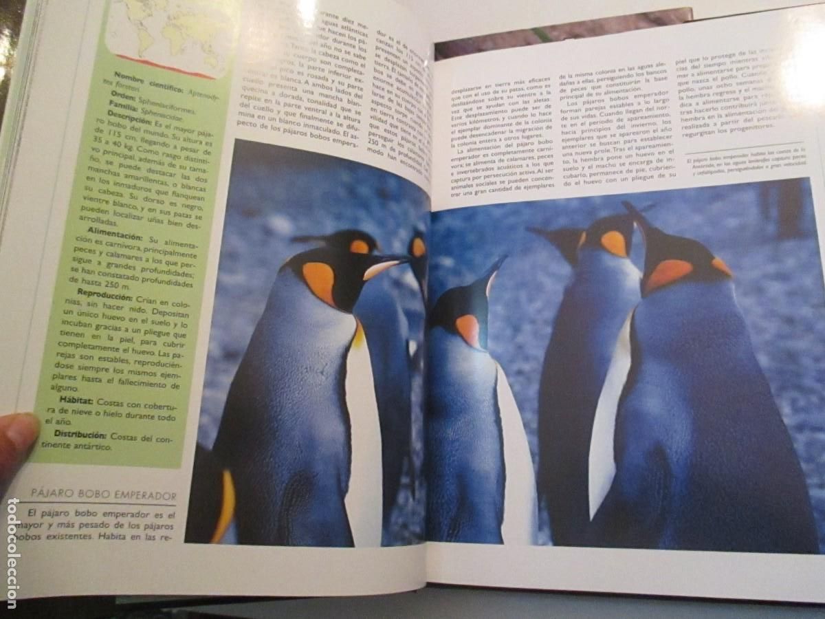 Libros de segunda mano: TIERRA VIVA AVES 2 tomos W33100 - Foto 3