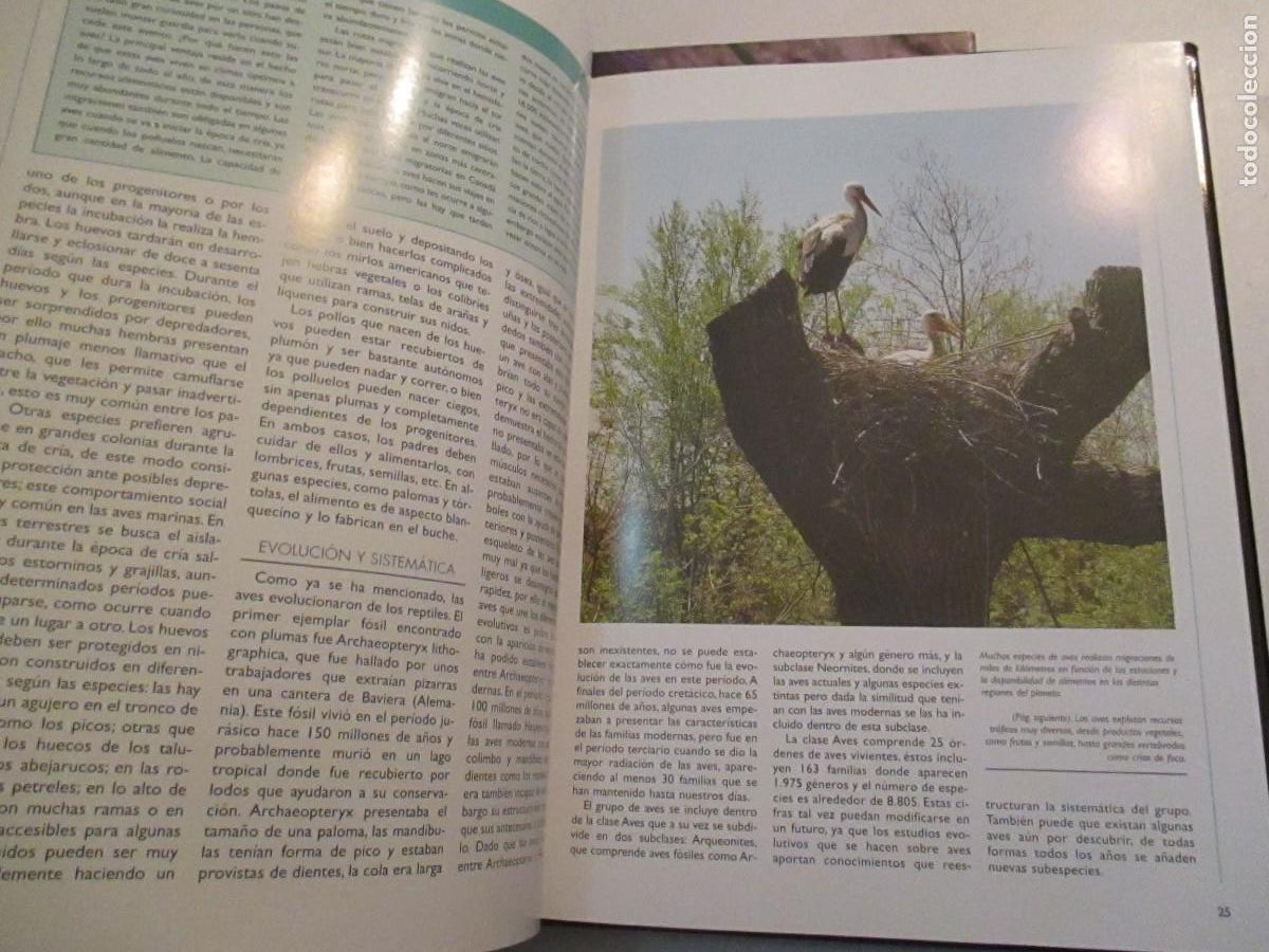 Libros de segunda mano: TIERRA VIVA AVES 2 tomos W33100 - Foto 4