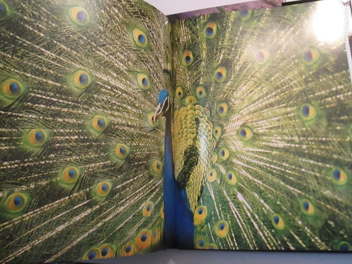 Libros de segunda mano: TIERRA VIVA AVES 2 tomos W33100 - Foto 5