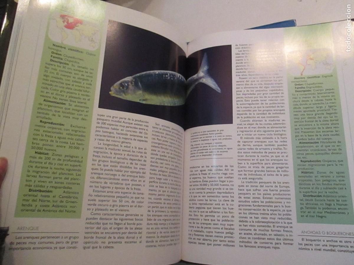 Libros de segunda mano: TIERRA VIVA Peces 2 tomos W33102 - Foto 3